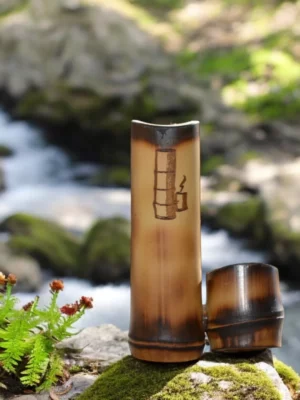 Pion — precision, balance, style