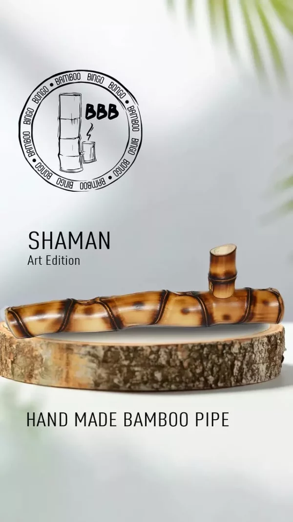 shaman art (2) Shaman — connection to nature, power of ritual