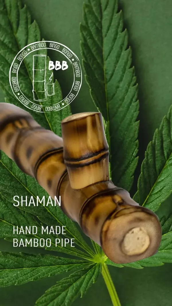 shaman art Shaman — connection to nature, power of ritual